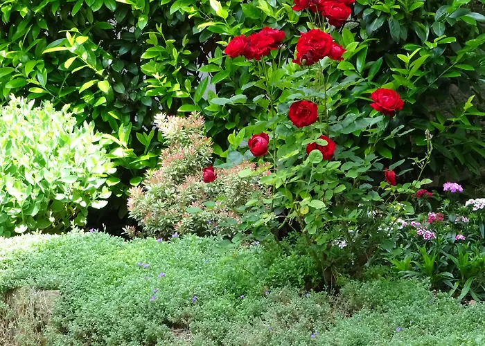 Guest house Gonnermann Sontra